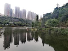 -重庆彩云湖湿地公园