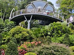 -云溪植物园