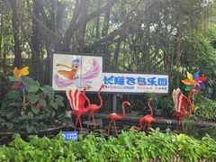 -广州长隆飞鸟乐园