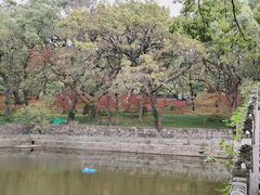 -普陀山风景名胜区-法雨禅寺