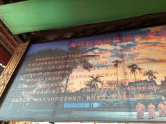 -西双版纳傣族园
