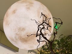 -静耳元気采耳·按摩·SPA(万象前海店)