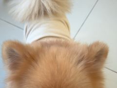 -怪兽屋·羊驼·猫咖·狗咖(俊华广场店)