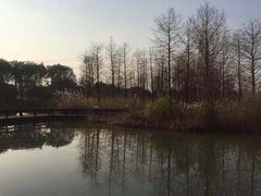 -梁鸿国家湿地公园
