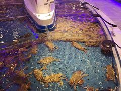 -澜悦港海鲜体验主题餐厅