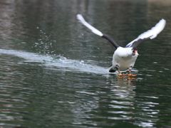 -晓港公园