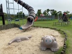 -上海长兴岛郊野公园