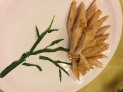 -丁老爷子苏香圆