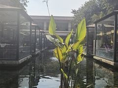 -鹅公村·国家非遗传承(荔湾店)