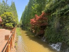 -上海怡沁园度假酒店