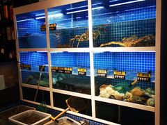 水产区-金龙·打边炉(南京西路店)