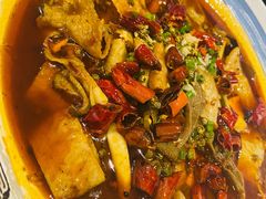 渝信毛血旺-渝信川菜(西单店)