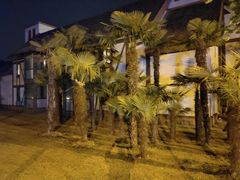 -太阳岛度假酒店