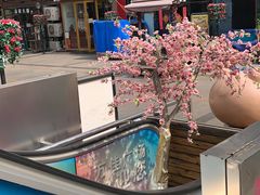 -万佳广场(台东店)