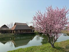 -良渚古城遗址公园