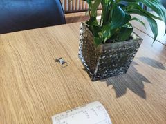 -宋益驴蹄子面肉夹馍(辛家庙店)