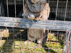 -小鱼草莓采摘园农家乐·小鱼餐厅