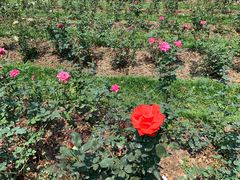 -人民公园(罗湖区)