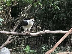 -清迈夜间动物园