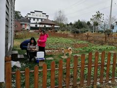 -龙湖东院农庄(乡间小路店)