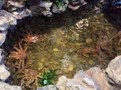 -綱元·海鲜豆捞(明州里店)