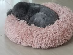 -芭比堂动物医院广州顽皮分院