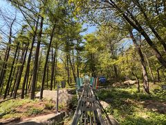 -沂蒙山旅游区云蒙景区(蒙山国家森林公园)