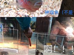 -台州海洋世界
