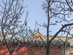 -泰山风景名胜区-普照寺