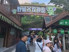 -野象谷景区