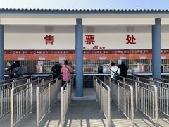 -千年银杏谷文化旅游区