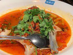 -坛宗剁椒鱼头(河西王府井店)