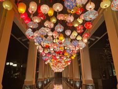 -海南清水湾莱佛士酒店