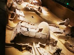 -洛阳周王城天子驾六博物馆