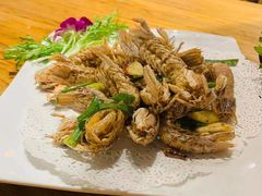 椒盐濑尿虾-鑫阿强海鲜大排档·老厦门特色菜(中山路店)