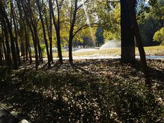 -长白岛森林公园