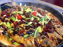 老板恋上鱼-老板恋上鱼(恒隆广场店)