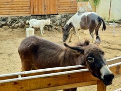 -HERRE·FARM 赫尔露营农场·团建聚会包场