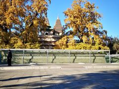 -北京石刻艺术博物馆(五塔寺)