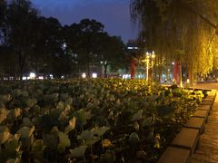 -四川大学(望江校区)