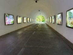 -深圳国际园林花卉博览园