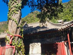 -北京上方山国家森林公园