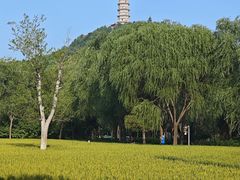 -北坞公园
