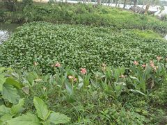 -蔡家宅
