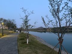 -羊山湖公园