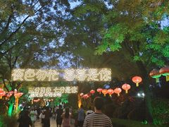 -大槐树寻根祭祖园