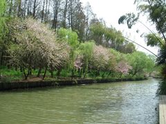 -同里国家湿地公园