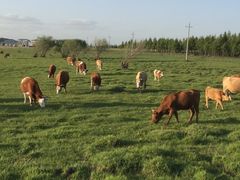 -塞罕坝国家级自然保护区