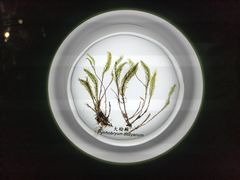 -厦门诚毅自然探索馆