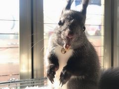 -火锅岛潮牌自助餐厅(天津天佑城店)